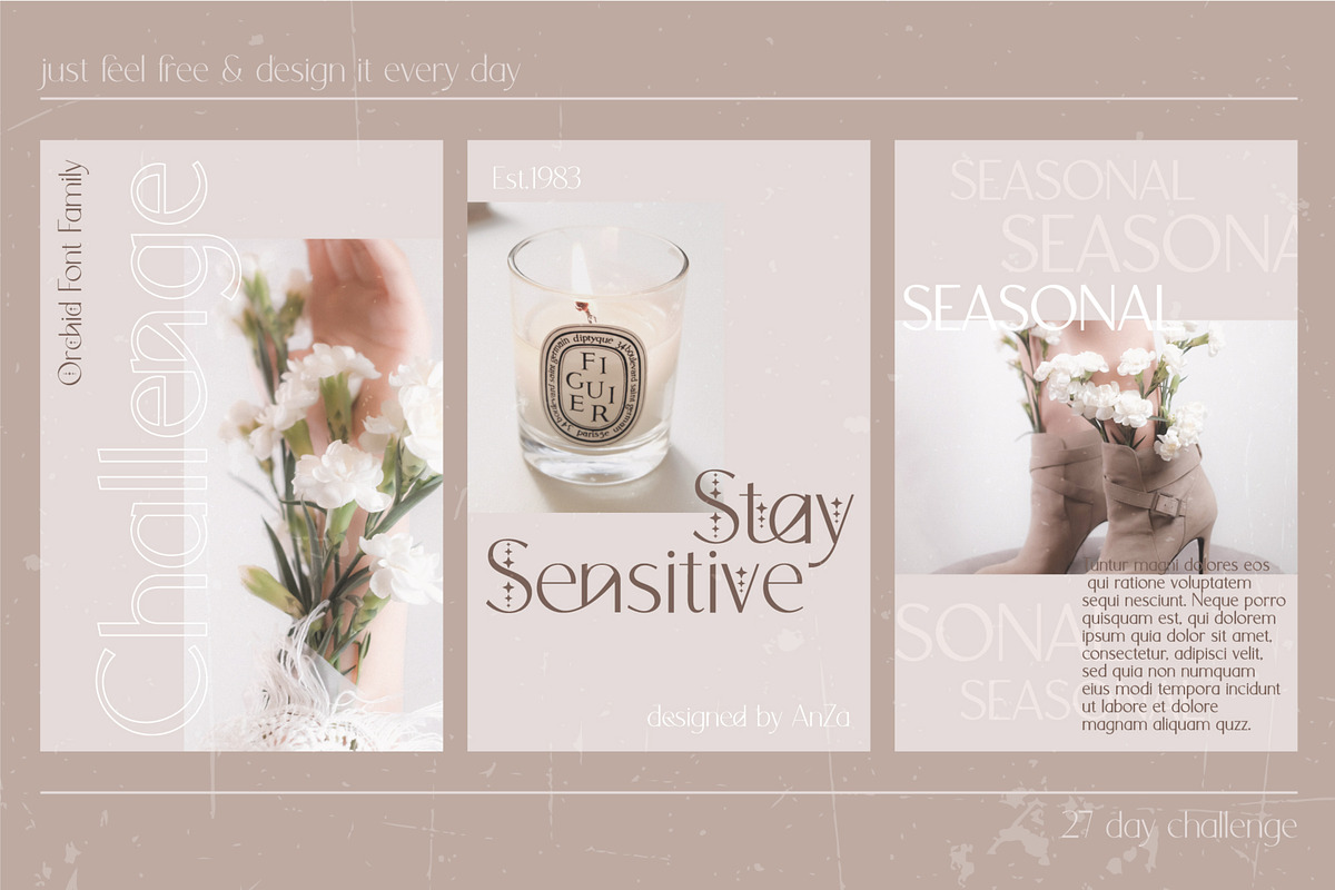 Elegant & Modern Font Bundle | Sale, a Sans Serif Font by Anna Zakharchenko (Photo 13 of 37)