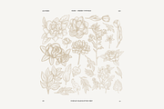 Alcyone Display Font + Illustrations, a Blackletter Font by GRPXSTORE (Thumbnail 3 of 4)