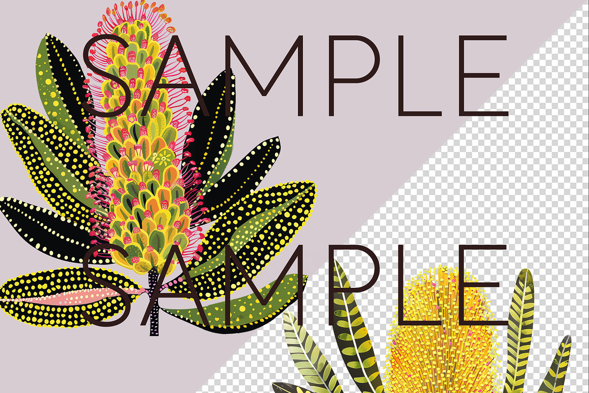 Aboriginal Style Flower Clipart PNG, a Decorative Illustration by Pawcasso's Portraits (Photo 3 of 9)