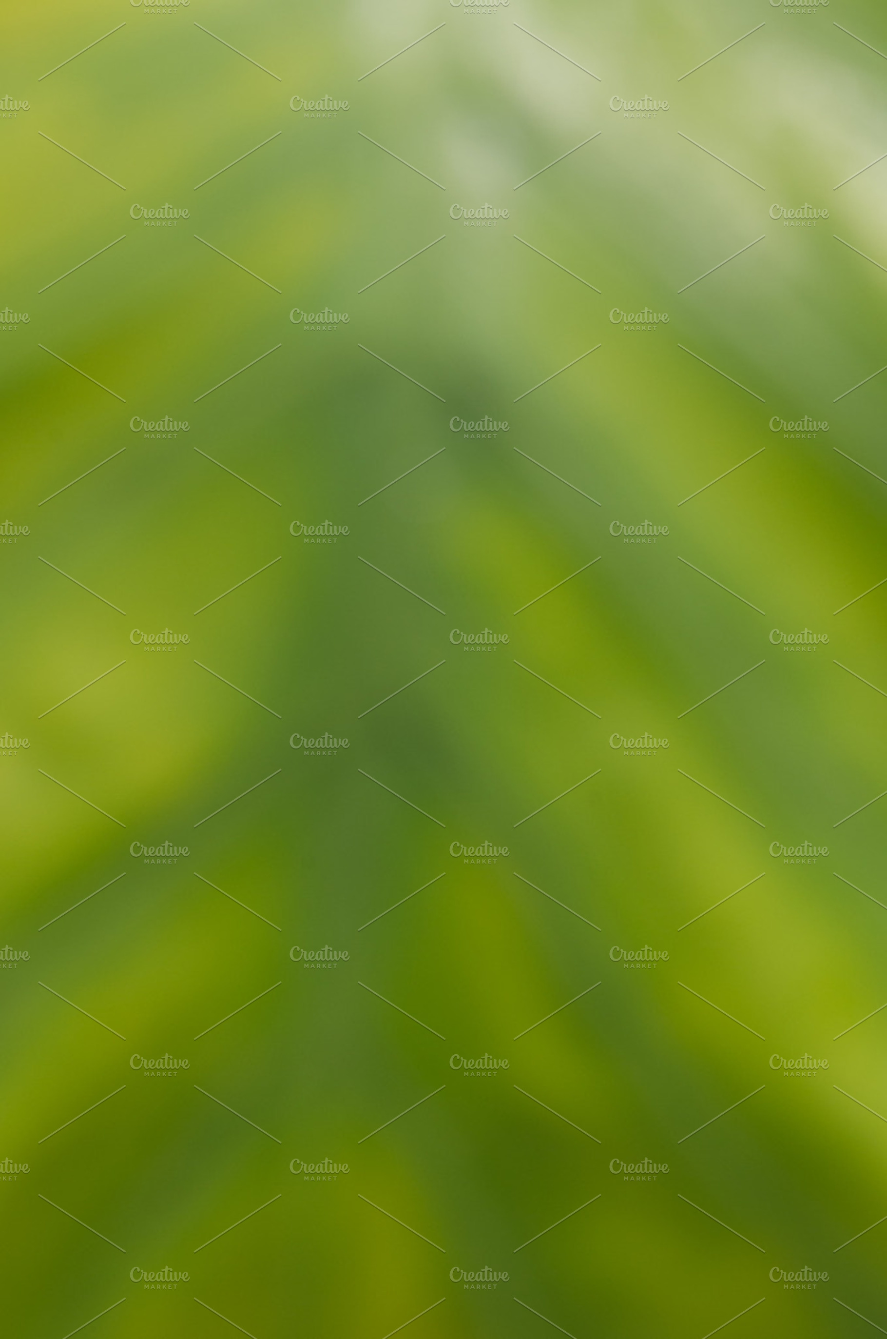 Natural leaf with veins featuring abstract, texture, and background
