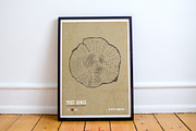 Tree trunk cross section., an Object Graphic by DOBROGRAPH (Thumbnail 4 of 7)