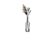 Pampas Grass Bottle Vase Bundle, an Illustration by Gaye Art (Thumbnail 6 of 31)