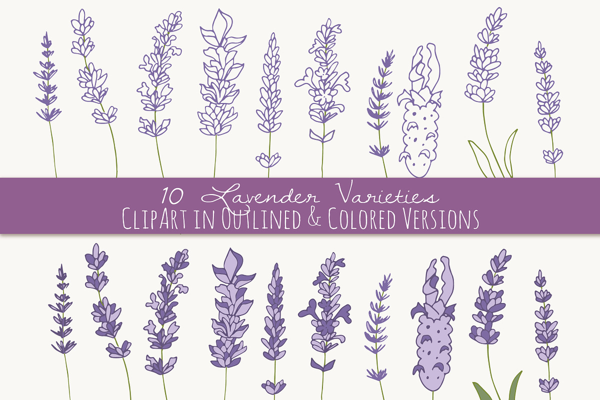 Lavender Clip Art & Vectors preview 2