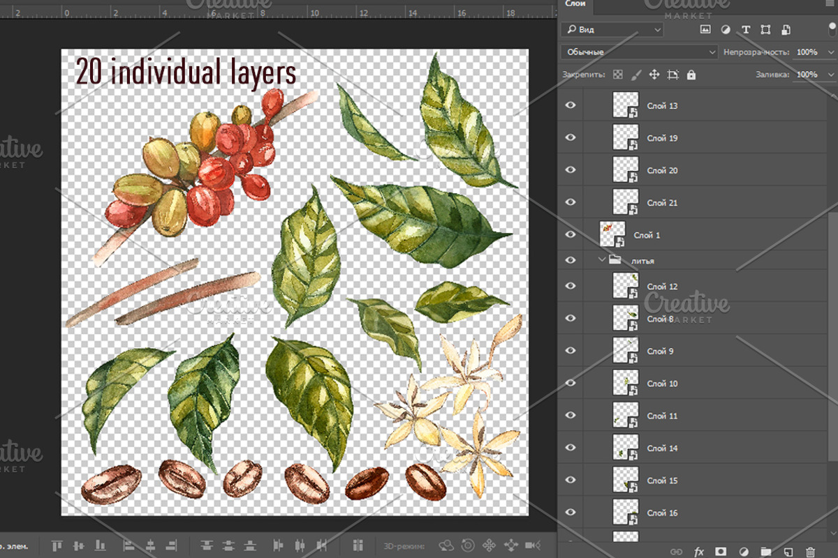 Coffee in botanical style, a Food Illustration by Ann Astro (Photo 2 of 9)