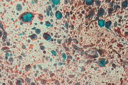 Vintage watercolour collection, a Texture Graphic by Julia Bilenko (Thumbnail 5 of 5)