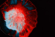 Acrylic liquid pouring paint [175x], an Abstract Photo by Abstract Background (Thumbnail 3 of 8)