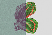 Risograph Grain Effect, a Layer Style Add-On by pixelbuddha.net (Thumbnail 5 of 9)