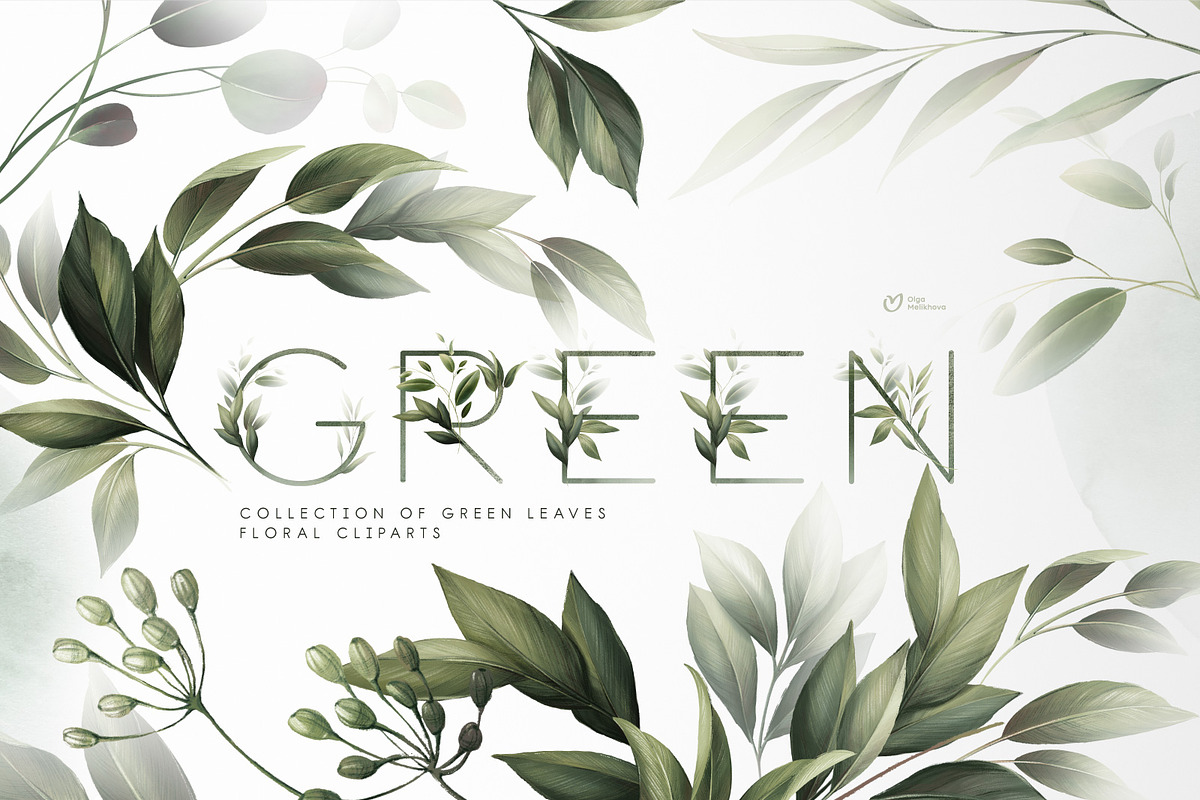 Green leaves - greenery clipart, an Illustration by ollalya (Photo 1 of 12)