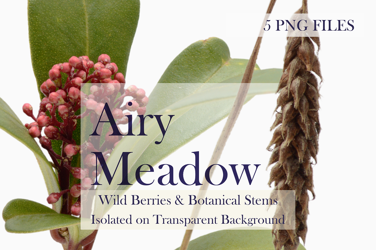 Airy Meadow – Wild Berries & Botanic, an Object Graphic by Aga Silva (Photo 2 of 5)