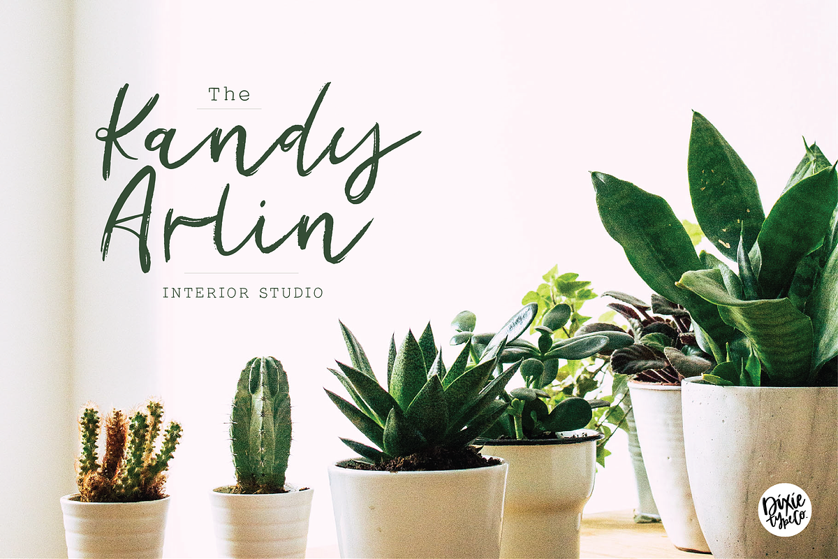 SAGUARO Distressed Brush Script preview 4