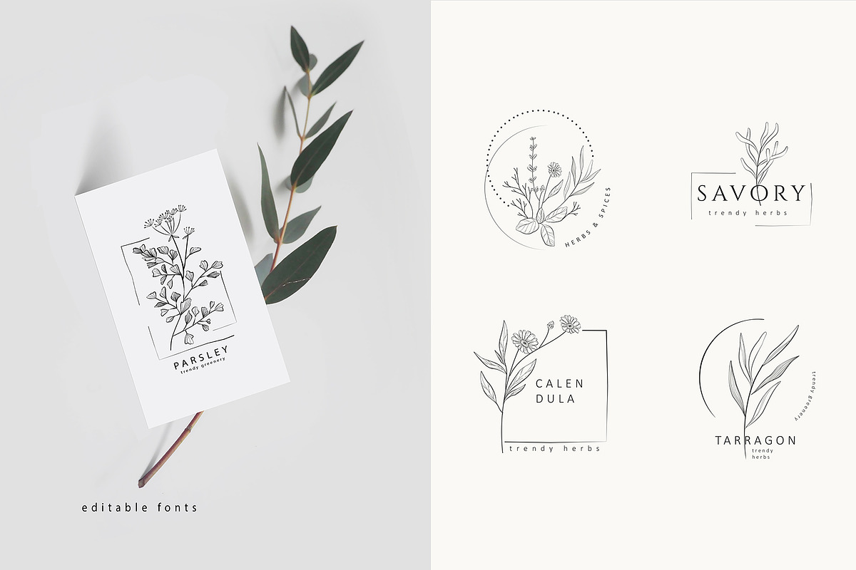 Spices. 30 Premade logos & branches, a Branding & Logo Template by Merfin (Photo 3 of 8)