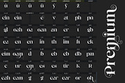 Premium Montage, a Serif Font by NYDESIGN (Thumbnail 9 of 9)