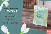 Watercolor Wedding Snowdrops, an Illustration by LittleAcornGraphics (Thumbnail 5 of 7)