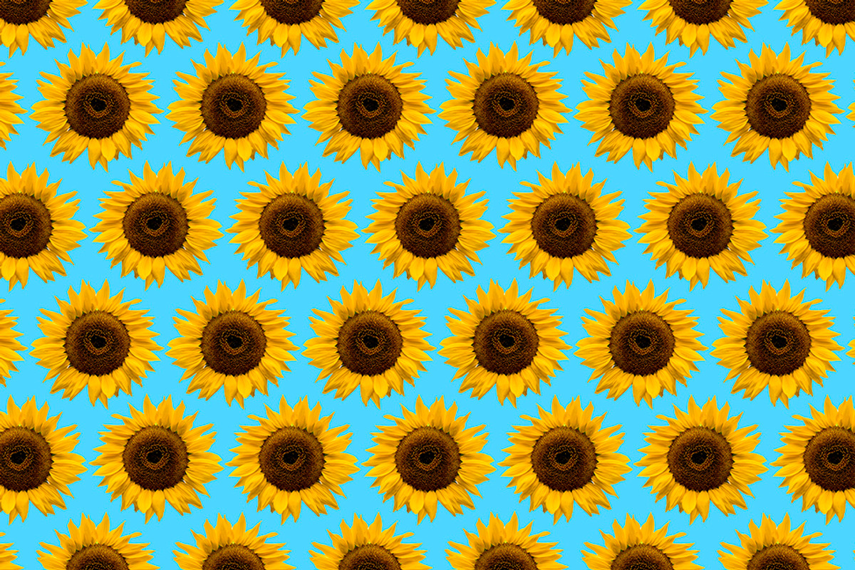Sunflowers, a Pattern Graphic by Teuni's Dreams of Reality (Photo 2 of 3)