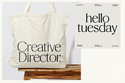 Stylish Aesthetic Typeface, a Sans Serif Font by Nicky Laatz (Thumbnail 3 of 29)