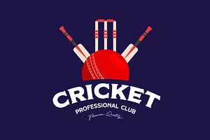cricket ball element logo template, a Branding & Logo Template by Pyruos ID