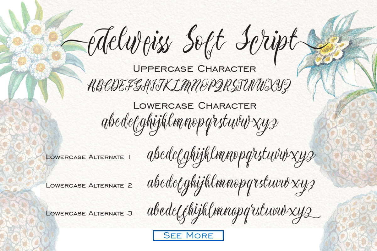 Edelweiss Soft Script preview 3
