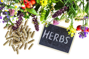 Various medicinal herbs and flowers, a Health & Medical Photo by yanadjana