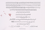 Un Jour Merveilleux - modern script, a Handwritten Font by Roland Huse Design (Thumbnail 4 of 5)