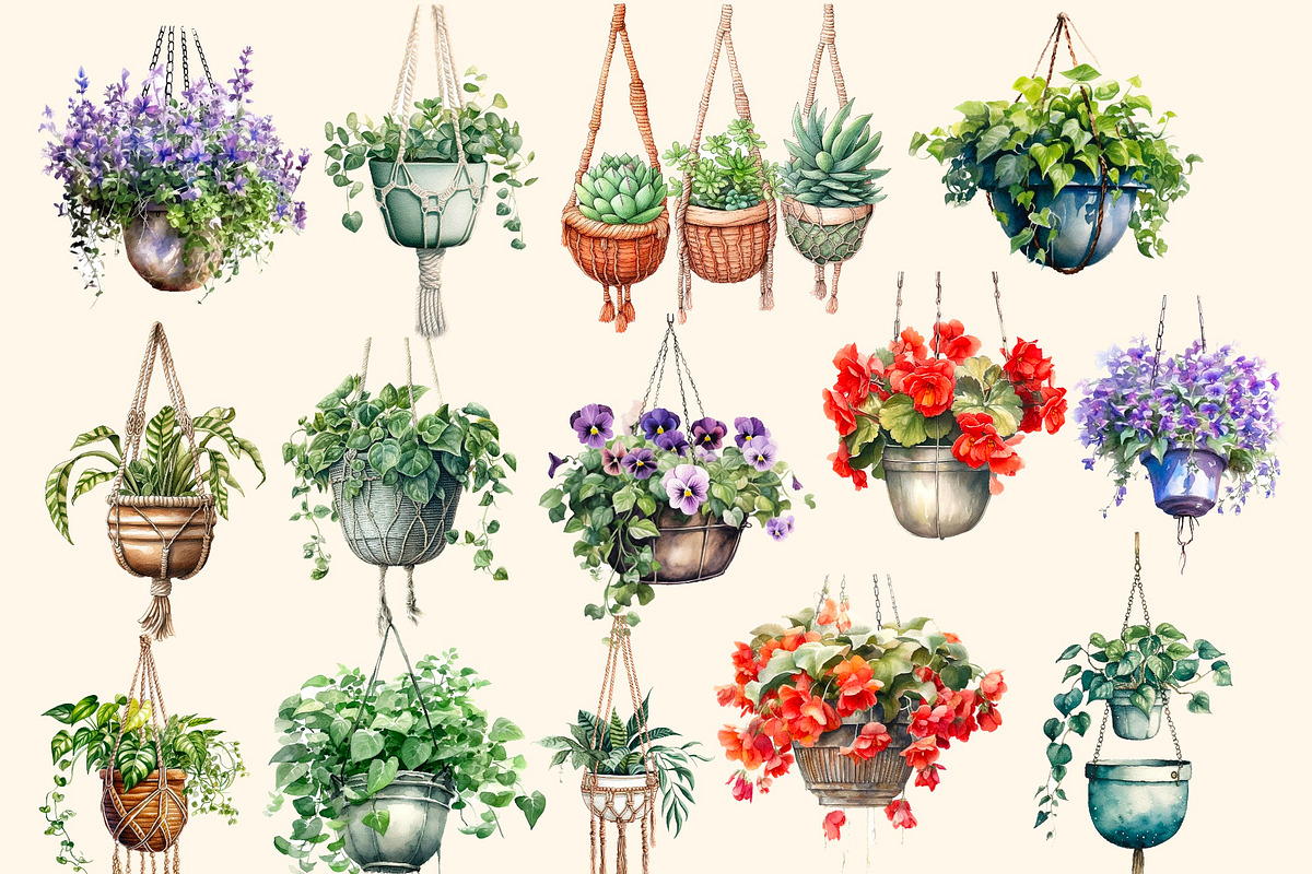 Flowers in hanging pots clipart, a Decorative Illustration by Hello My Print (Photo 4 of 10)