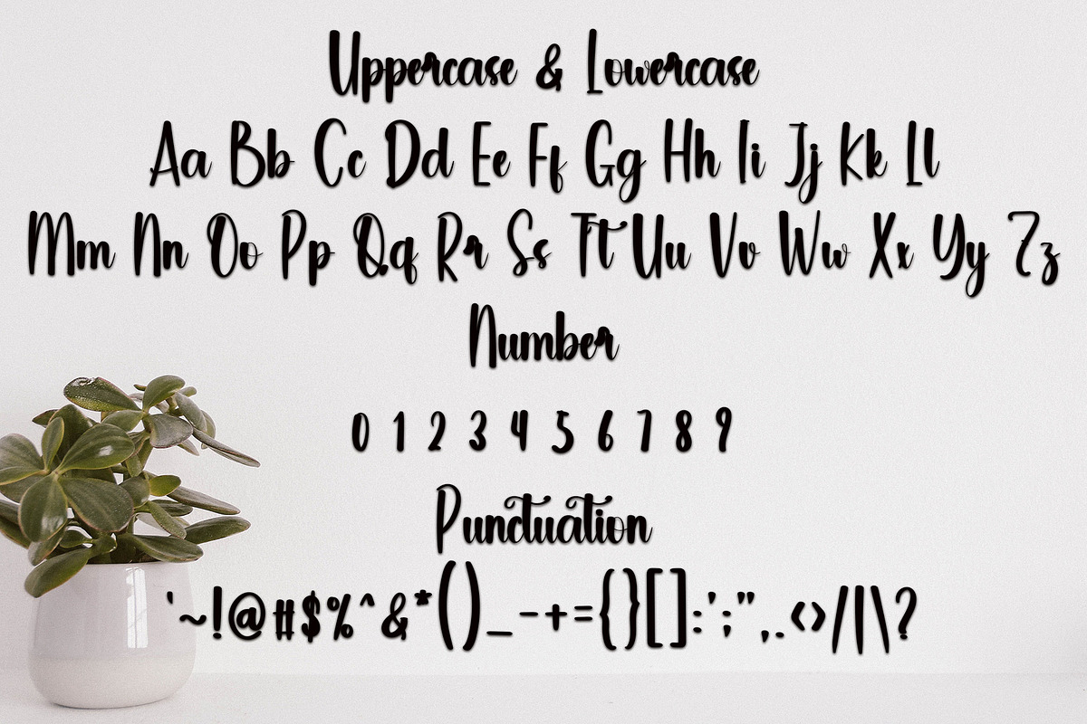 Start With, a Handwritten Font by InermediaSTUDIO (Photo 4 of 7)