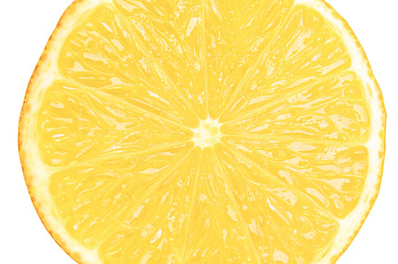 Citrus Featuring Citrus Lemon And Lime preview 5