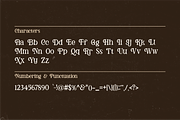 Rose Land - Elegant Handmade Serif, a Serif Font by Pandeka Studio (Thumbnail 9 of 9)