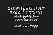 Warrington, a Script Font by Pollux of Geminorum (Thumbnail 9 of 12)