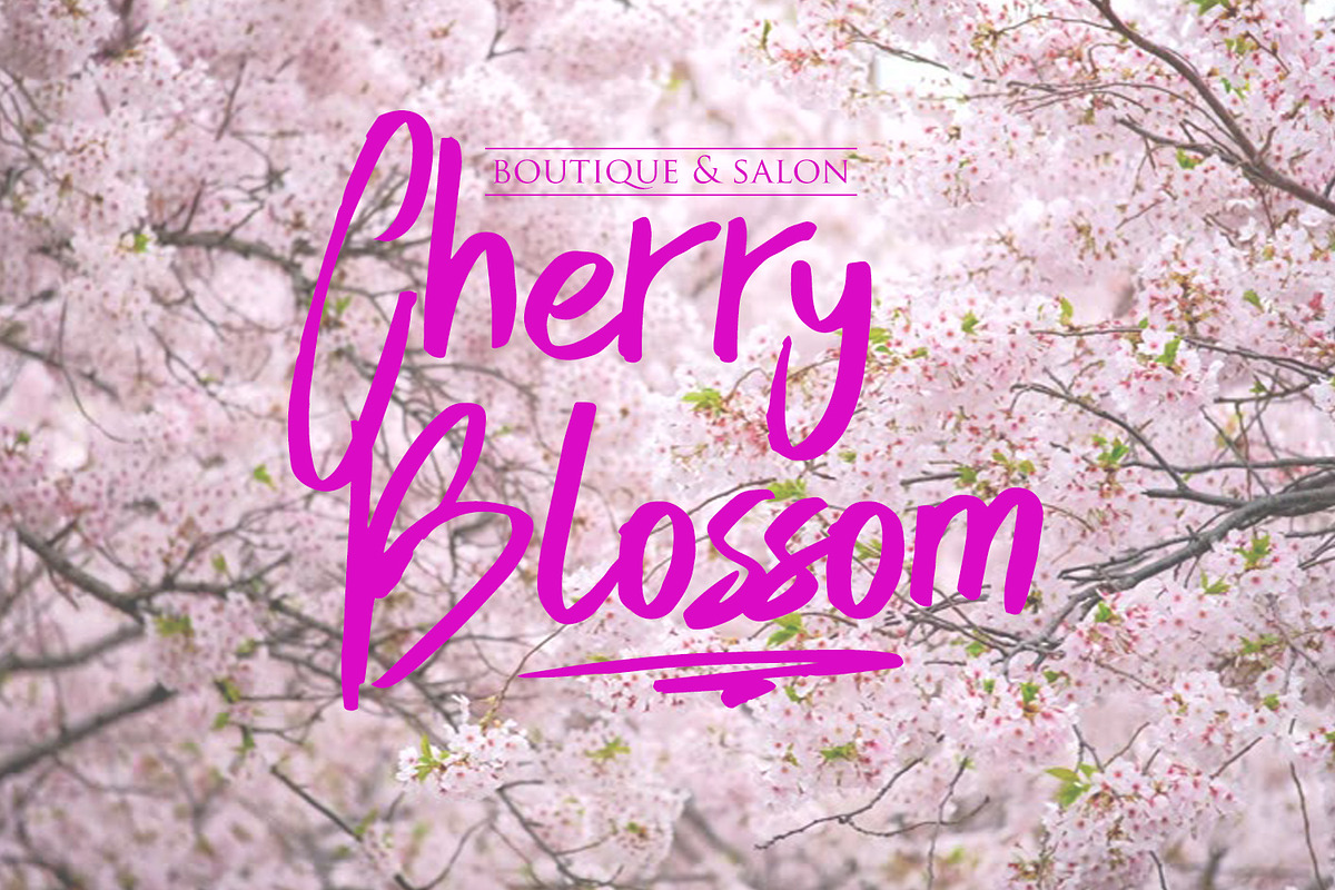 Skytree Script Brush Font preview 5