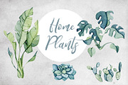 Watercolor set HOME JUNGLE, a Decorative Illustration by S_ARTLOVE (Thumbnail 4 of 11)