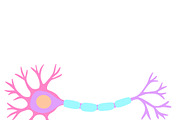 Biology & Anatomy goodnotes stickers, an Education Illustration by Noorist (Thumbnail 26 of 32)