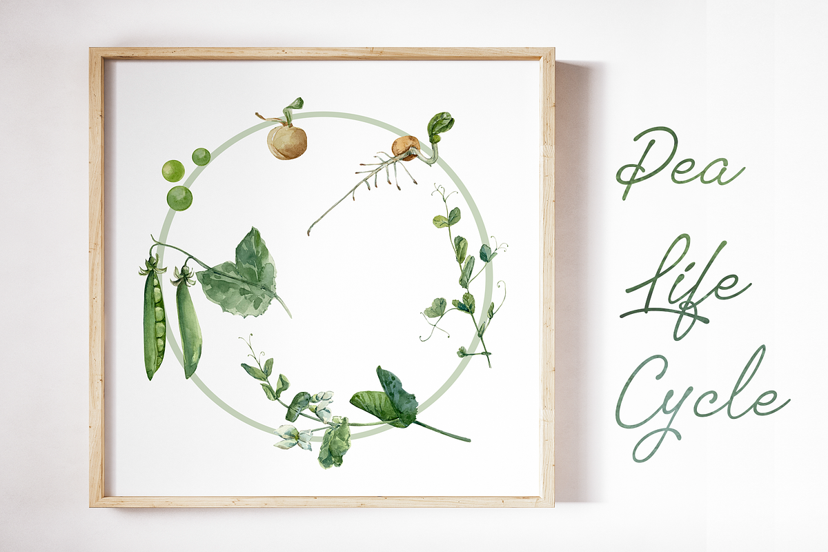 Plant Life Cycle Clip Art and Print, a Decorative Illustration by Tati Bordiu (Photo 1 of 3)