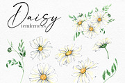 Watercolor Daisies, an Object Illustration by Olga Koelsch (Thumbnail 9 of 12)
