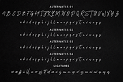 Rasthmon - Brush Font, a Script Font by tebaltipislab (Thumbnail 12 of 13)