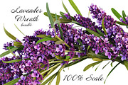 Lavander Wreath, an Object Graphic by kookamunga (Thumbnail 5 of 5)