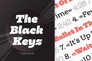Hernández Niu, a Slab Serif Font by Latinotype (Thumbnail 7 of 17)