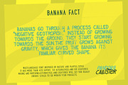 Pandora Callister Font, a Font by LeoSupply.co (Thumbnail 10 of 10)