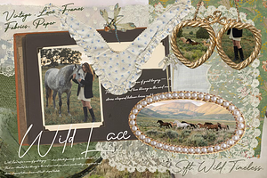 260+ Wild Lace. Soft. Wild. Timeless, an Object Graphic by Lilithcollageart