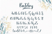 Bastelory Modern Script Font, a Script Font by Giant Design (Thumbnail 10 of 10)