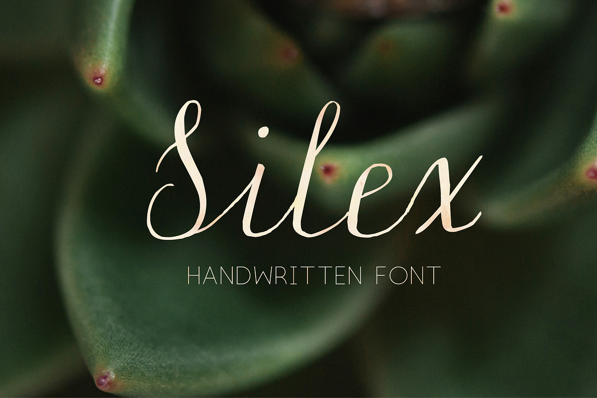 Silex Modern calligraphy preview 2