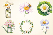 Spring Daisy Flower Clipart Bundle, a Work Illustration by OK Design (Thumbnail 2 of 3)