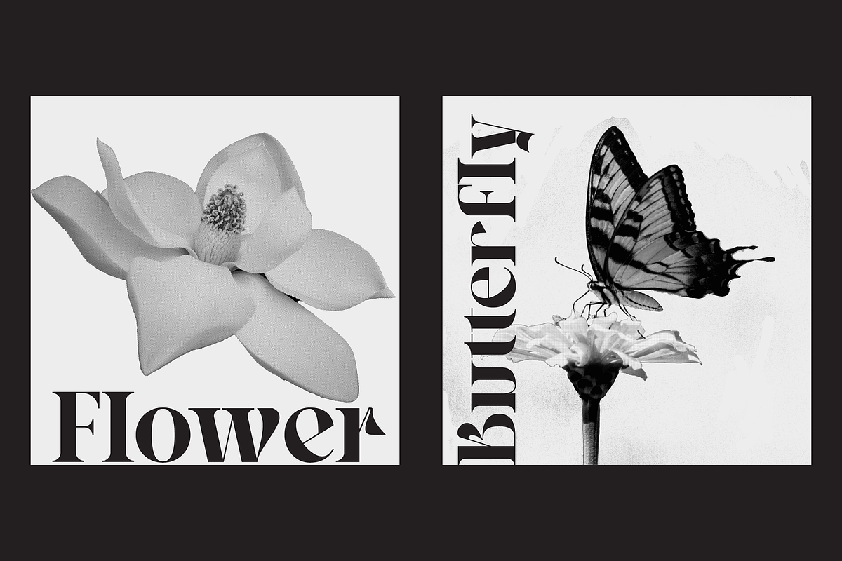 Hegarown Display Serif Font, a Serif Font by Randi Irvan | Rvandtype (Photo 8 of 16)