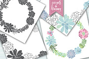 Succulents., an Illustration by maritime_m (Thumbnail 6 of 8)