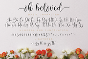 Oh Beloved Script, a Script Font by Nissa Studio (Thumbnail 11 of 12)