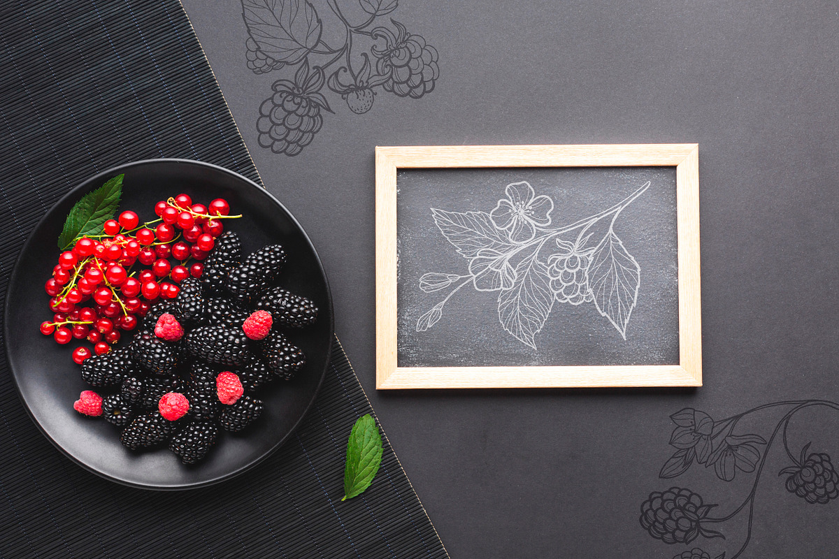 Raspberry | Line art & Color vector, a Decorative Illustration by Dervik Art Store (Photo 8 of 8)