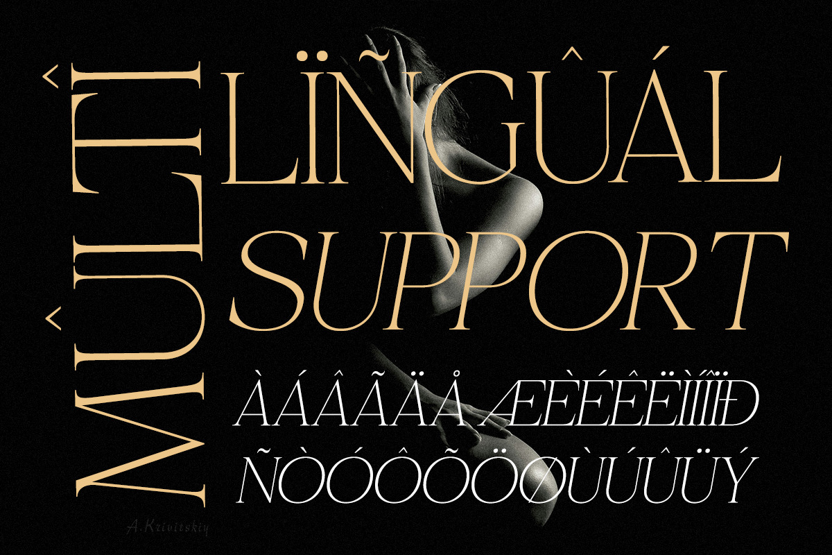 Belvina - Modern Luxury Serif Font, a Serif Font by Qweera Studio (Photo 12 of 12)