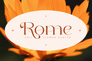 Lorestta // Elegant Luxury Serif, a Serif Font by ToniStudio (Thumbnail 8 of 16)