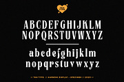 TAN - Harmoni, a Serif Font by TanType (Thumbnail 14 of 19)