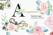 -50% Off Buttercups. Ranunculus pink, an Illustration by LABFcreations (Thumbnail 8 of 12)