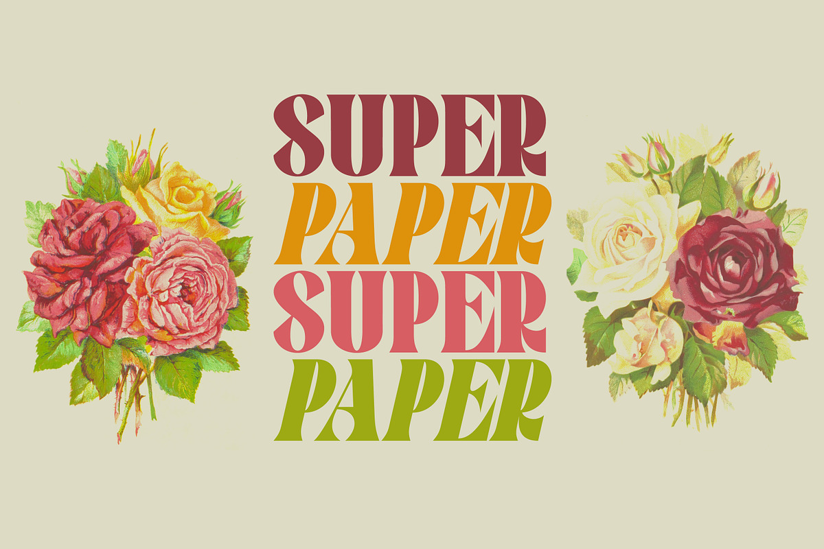 Pronema - Modern Serif, a Serif Font by tebaltipislab (Photo 8 of 13)